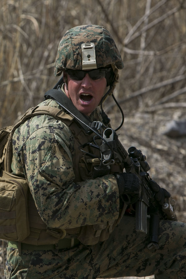 THE CASE FOR A BETTER ENLISTED INFANTRY MARINE: A new enlisted career ...