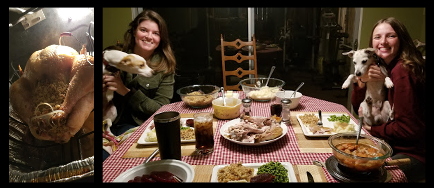 NEWS & COMMENTARY:  I cooked a GREAT Thanksgiving meal and my dog survives a bout with Halloween candy